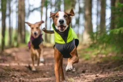 Pomppa JumppaPomppa koiran fleecetakki, 37 - 40 cm, Lime