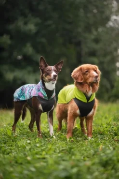 Pomppa JumppaPomppa koiran fleecetakki, 60 - 65 cm, Aurora