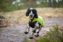 Pomppa JumppaPomppa koiran fleecetakki, 44 - 48 cm, Lime