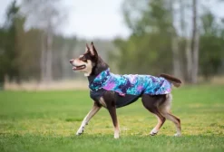 Pomppa JumppaPomppa koiran fleecetakki, 31 - 34 cm, Aurora