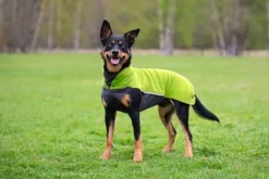 Pomppa JumppaPomppa koiran fleecetakki, 60 - 65 cm, Lime