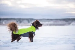 Pomppa JumppaPomppa koiran fleecetakki, 60 - 65 cm, Lime