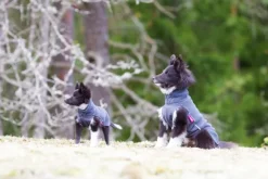 Pomppa JumppaPomppa koiran fleecetakki, 31 - 34 cm cm, harmaa