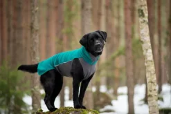 Pomppa JumppaPomppa koirantakki, 52-56 cm, Forest