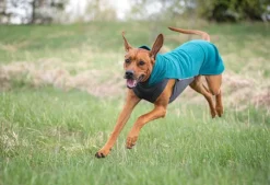 Pomppa JumppaPomppa koirantakki, 31-34 cm, Forest