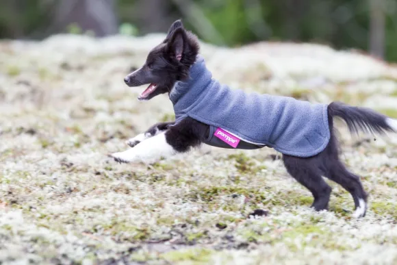 Pomppa JumppaPomppa koiran fleecetakki, 37 - 40 cm, harmaa