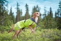 Pomppa KevytPomppa koiran välikausitakki, 60 - 65 cm, Lime