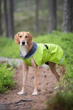 Pomppa KevytPomppa koiran välikausitakki, 60 - 65 cm, Lime