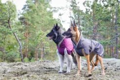 Pomppa KevytPomppa koirantakki, 60-65 cm, Graphite