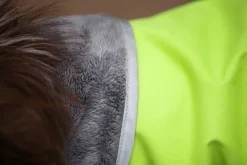 Pomppa KevytPomppa koiran välikausitakki, 44 - 48 cm, Lime