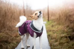 Pomppa KevytPomppa koiran välikausitakki, 52 - 56 cm, punavioletti