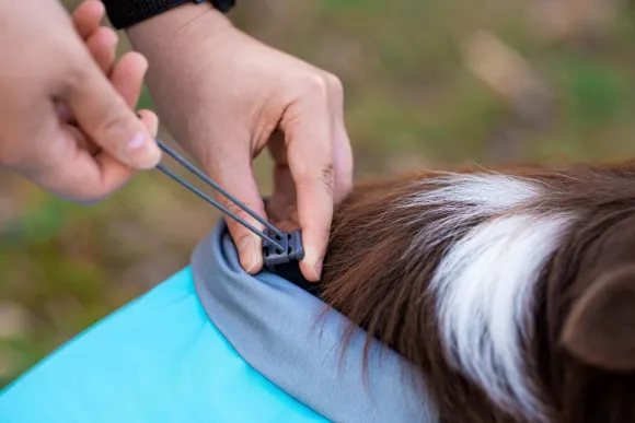 Pomppa KuoriPomppa koiran sadetakki, 52-56 cm, Arctic