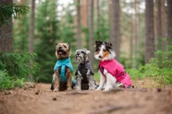 Pomppa KuoriPomppa koiran sadetakki, 52-56 cm, Arctic