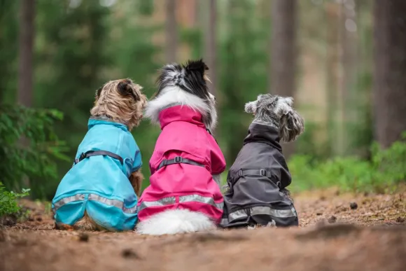 Pomppa KuoriPomppa koiran sadetakki, 31-34 cm, Graphite