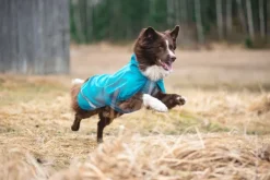 Pomppa KuoriPomppa koiran sadetakki, 37-40 cm, Arctic