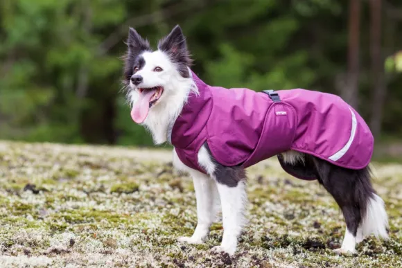 Pomppa PerusPomppa koirantakki, 60-65 cm, Plum