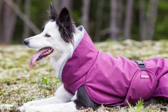 Pomppa PerusPomppa koirantakki, 37-40 cm, Plum