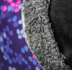 Pomppa PerusPomppa koirien talvitakki, 52 - 56 cm, Cosmos