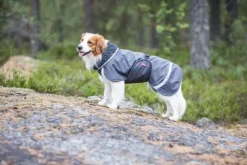 Pomppa PerusPomppa koirien talvitakki, 52 - 56 cm, harmaa