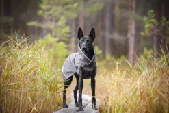 Pomppa SadePomppa koiran sadetakki, 52 - 56 cm, harmaa