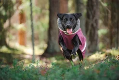 Pomppa ToppaPomppa koiran talvitakki, 44-48 cm, Plum