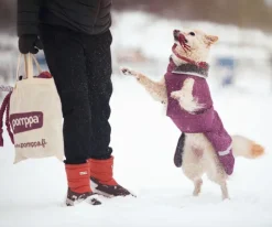 Pomppa ToppaPomppa koiran talvitakki, 60-65 cm, Plum