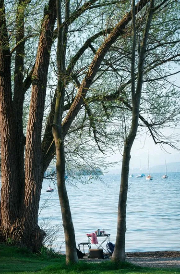 Primus Campfire Table