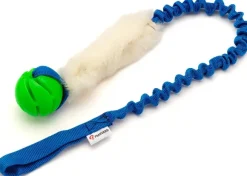 Psarvard Tika koiralelu pallo, sininen