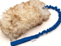 Psarvard Trainer Absorber M koiranlelu sininen