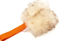 Psarvard Trainer Pocket oranssi koiranlelu