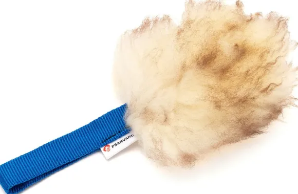 Psarvard Trainer Pocket sininen koiralelu