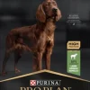 Purina PRO PLAN Large Athletic Adult Sensitive Digestion Lamm 14 kg
