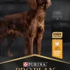Purina PRO PLAN Large Athletic Adult Everyday Nutrition 14 kg