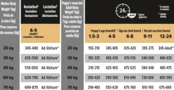 Purina PRO PLAN Large Robust Puppy HEALTHY START 12kg