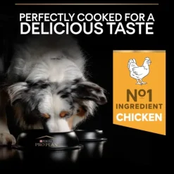 Purina PRO PLAN Medium Adult Everyday Nutrition 14 kg