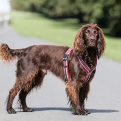 Ratia 8-shape -valjaat, punainen