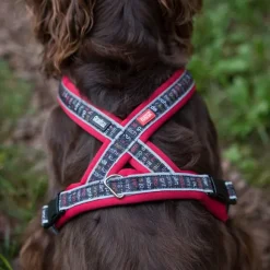 Ratia 8-shape -valjaat, punainen