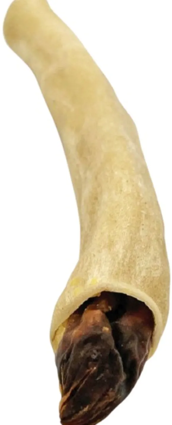 RAUH! Moose Bullet puruluu