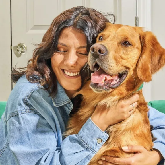 RAUH! Pork Bilberry Treat 100 g