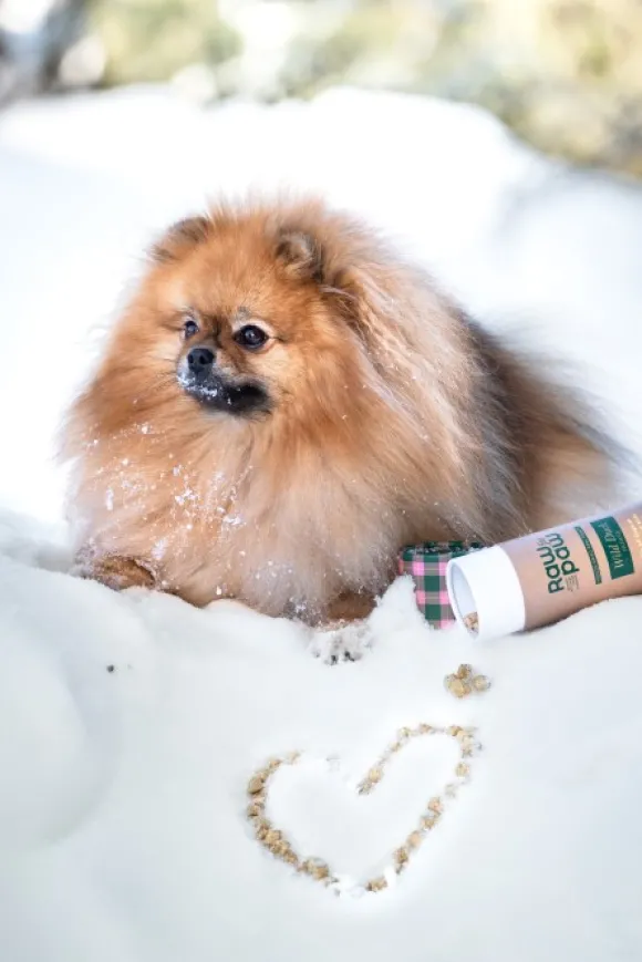 Raw for Paw Wild Duck makupalat