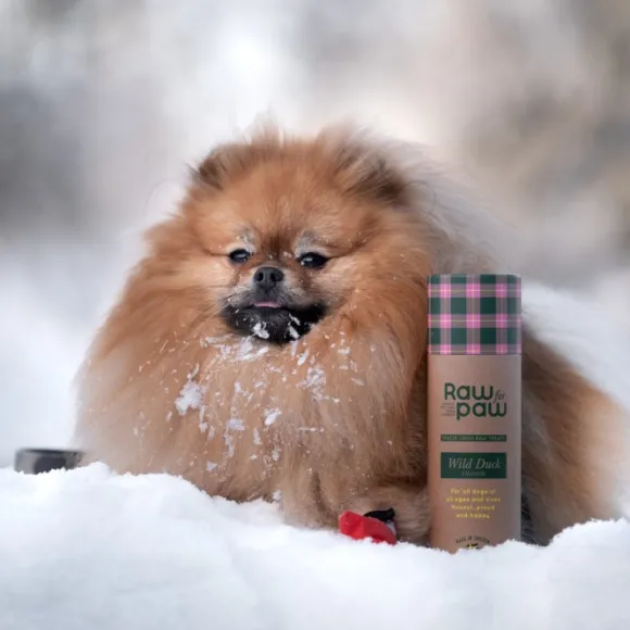 Raw for Paw Wild Duck makupalat