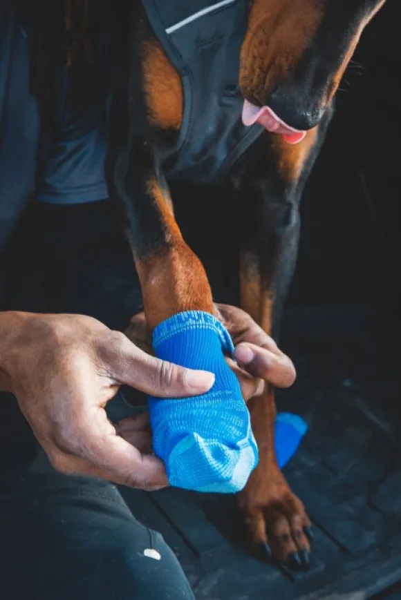 RuffWear Bark'n Boot Socks koiran tossut, Blue Pool