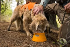 RuffWear Bivy Bowl retkikuppi, 1,8L, oranssi