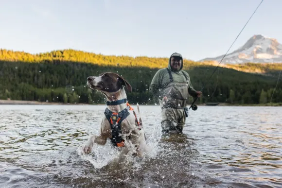 RuffWear Brush Guard lisäsuoja, tummanharmaa