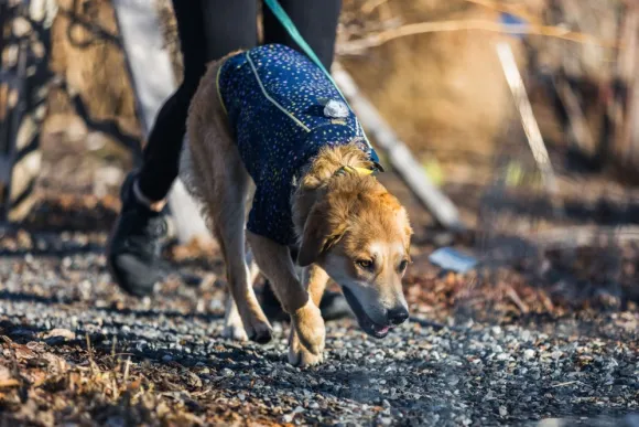 RuffWear Climate Changer Jacket koiran fleecetakki, Galaxy