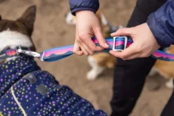 Ruffwear Crag Ex Leash koirien talutushihna, Alpine Dawn