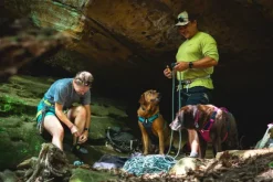 Ruffwear Flagline Harness valjaat, harmaa