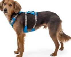 Ruffwear Flagline Harness valjaat, harmaa