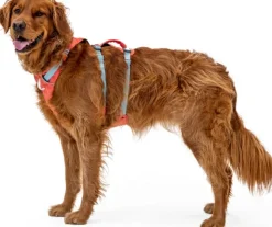Ruffwear Flagline Harness valjaat, harmaa