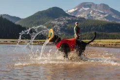 Ruffwear Float Coat koiran pelastusliivit, Red Sumac